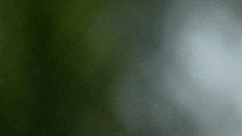 Banderas ondean al viento en el Cementerio Nacional Conmemorativo de Arizona el Día de los Veteranos, martes 11 de noviembre de 2025, en Phoenix.