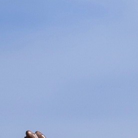 Una instalación artística que representa al presidente Trump y a Epstein en el National Mall, cerca del Capitolio.