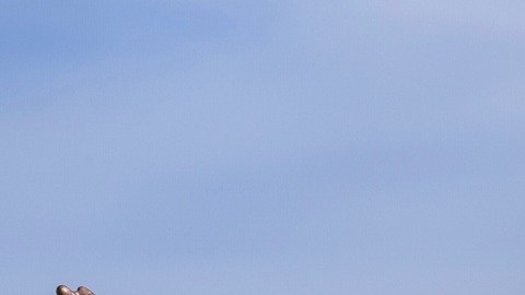 Una instalación artística que representa al presidente Trump y a Epstein en el National Mall, cerca del Capitolio.