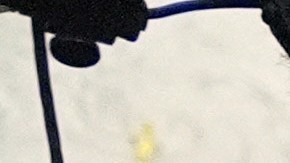 Trump dio un discurso antes de firmar eo proyecto de ley que abre oficialmente el Gobierno.