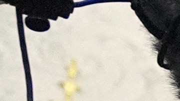 Trump dio un discurso antes de firmar eo proyecto de ley que abre oficialmente el Gobierno.