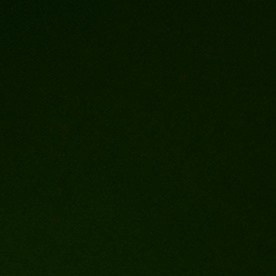 IRS o Servicios de Rentas Internas de EE.UU.