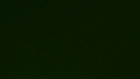 IRS o Servicios de Rentas Internas de EE.UU.