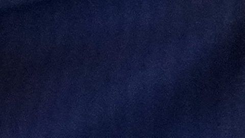 La orden describe a la Misión Génesis como "comparable en urgencia y ambición al proyecto Manhattan".