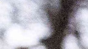 Video: Dominicano Emmanuel Clase quedó en libertad tras pagar $600,000 dólares de fianza