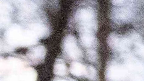 Video: Dominicano Emmanuel Clase quedó en libertad tras pagar $600,000 dólares de fianza