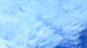 Ca7riel y Paco Amoroso estaban en la lista de los más nominados de los Latin Grammy 2025.