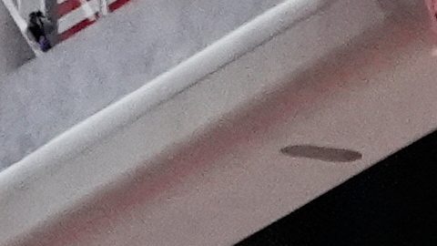 El base de Los Angeles Lakers, Luka Doncic (77), salta para capturar un rebote contra los New Orleans Pelicans en la primera mitad de un partido de la NBA Cup, el viernes 14 de noviembre de 2025, en Nueva Orleans.