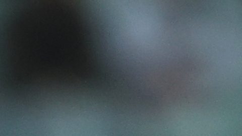 Jugadores de Colombia y Francia protagonizan brutal pelea en el Mundial Sub-17 [Video]