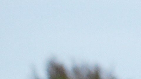 Personas protestan contra la aplicación de las leyes federales de inmigración en Charlotte.