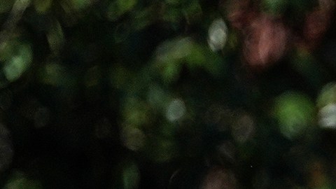 Agentes de la Patrulla Fronteriza de EE. UU. observan, el lunes 17 de noviembre de 2025, en Charlotte, Carolina del Norte.