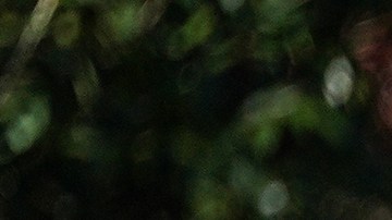 Agentes de la Patrulla Fronteriza de EE. UU. observan el lunes 17 de noviembre de 2025 en Charlotte, Carolina del Norte.