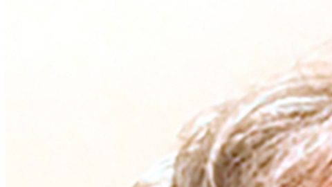 Esta imagen compuesta muestra a Jeffrey Epstein, a la izquierda, y al economista estadounidense Larry Summers.