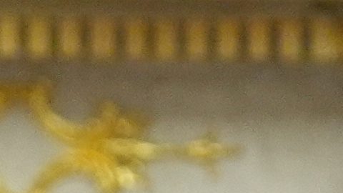 En su campaña, Trump prometió que su gobierno deportaría a millones de personas.