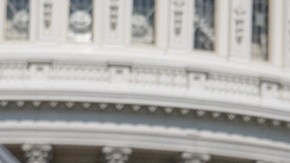 La legisladora habría actuado en complicidad con su hermano.