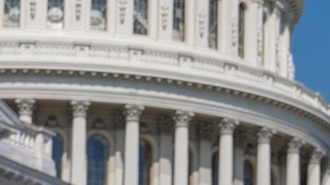 La legisladora habría actuado en complicidad con su hermano.