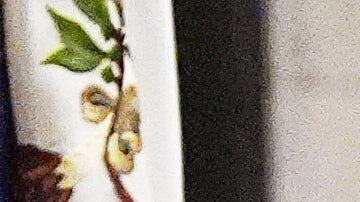 En primera fila, de izquierda a derecha, los expresidentes George W. Bush con Laura Bush y Joe Biden con Jill Biden observan la llegada del féretro del exvicepresidente Dick Cheney a la Catedral Nacional de Washington, el jueves 20 de noviembre de 2025.