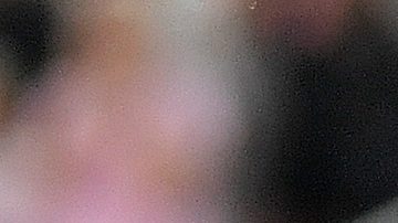 Lionel Messi, delantero de Inter Miami, a la izquierda, celebra con el delantero Mateo Silvetti, a la derecha, después de anotar durante la primera mitad del Juego 3 de la primera ronda de playoffs de la Conferencia Oeste del fútbol de la MLS contra Nashville SC en Fort Lauderdale, Florida, el 8 de noviembre de 2025.