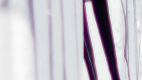 Fiscales del estado de Michoacán detienen a un sospechoso del asesinato del alcalde Carlos Manzo Rodríguez en Uruapan, México, el viernes 21 de noviembre de 2025.