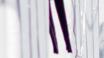 Fiscales del estado de Michoacán detienen a un sospechoso del asesinato del alcalde Carlos Manzo Rodríguez en Uruapan, México, el viernes 21 de noviembre de 2025.