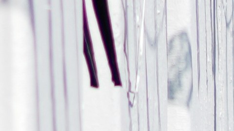 Fiscales del estado de Michoacán detienen a un sospechoso del asesinato del alcalde Carlos Manzo Rodríguez en Uruapan, México, el viernes 21 de noviembre de 2025.