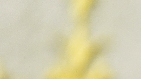 El presidente Donald Trump conversa tras reunirse con el alcalde electo de la ciudad de Nueva York, Zohran Mamdani, en el Despacho Oval de la Casa Blanca, el viernes 21 de noviembre de 2025, en Washington.