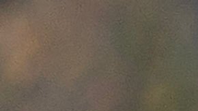 El informante del medio digital no reveló la fecha de esa llamada telefónica.