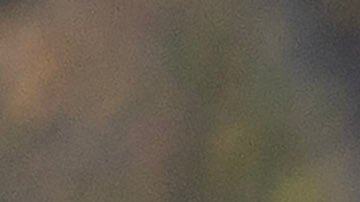 El informante del medio digital no reveló la fecha de esa llamada telefónica.