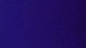 El asesor de Putin señaló que las versiones "están en el papel".