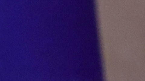 El asesor de Putin señaló que las versiones "están en el papel".