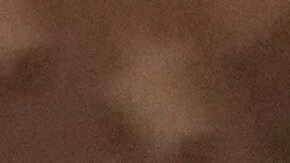 Se espera una rueda de prensa durante la mañana para mayores detalles del tiroteo.