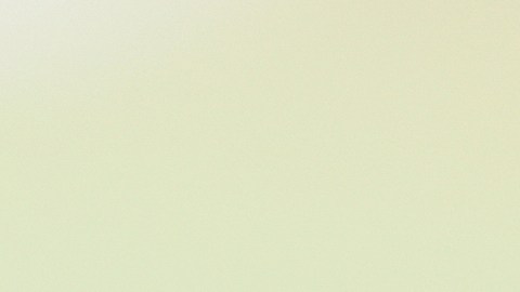 EE.UU. que este viernes tuvo su principal día de compras del año, ha registrado al menos 379 tiroteos masivos.