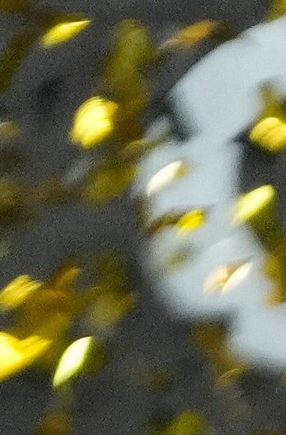 Flamengo conquistó su cuarta Copa Libertadores gracias a un gol de Danilo