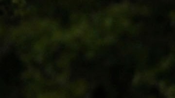 Las autoridades no han revelado qué provocó la explosión.