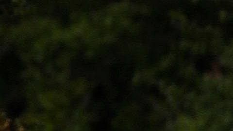 Las autoridades no han revelado qué provocó la explosión.