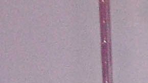 Se reportó un total de 14 heridos.