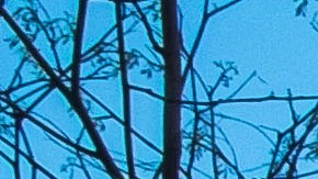 Oficinas centrales del IRS