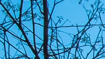 Oficinas centrales del IRS