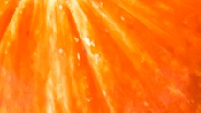 Conoce en detalle cuáles son los sitios que estarán abiertos el Día de Acción de Gracias.