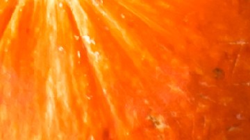 Conoce en detalle cuáles son los sitios que estarán abiertos el Día de Acción de Gracias.