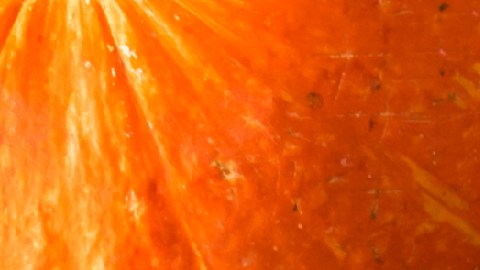 Conoce en detalle cuáles son los sitios que estarán abiertos el Día de Acción de Gracias.