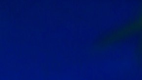 Adamari López, presentadora de televisión.