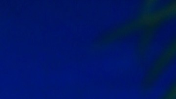 Adamari López, presentadora de televisión.