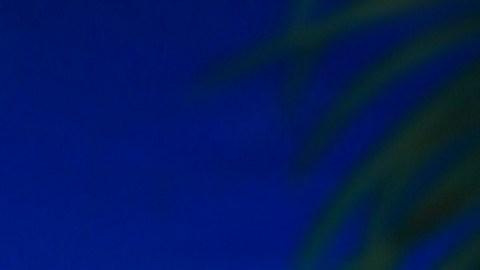 Adamari López, presentadora de televisión.