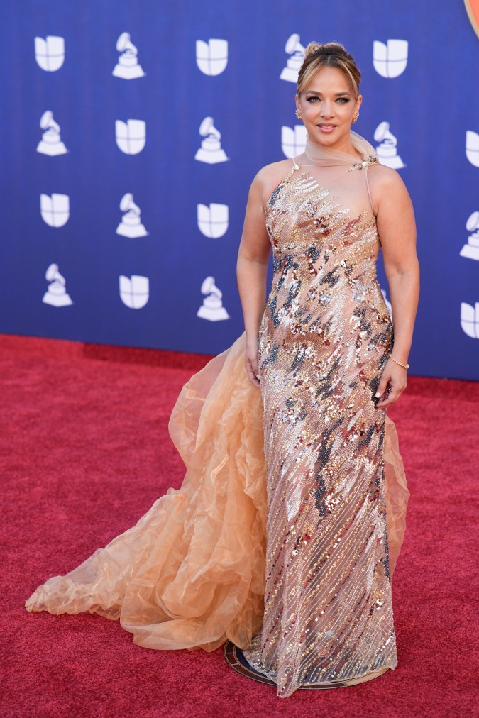 Adamari López, presentadora de Univision, llevó un atuendo con tonos metálicos.