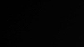 Aracely Arámbula y David Zepeda protagonizan el show junto a un gran elenco de estrellas de la televisión y el teatro.