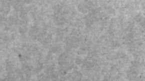 Al Capone murió en enero de 1947.