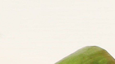 El repollo, el coliflor y los arándanos aportan antioxidantes que ayudan a la función renal.