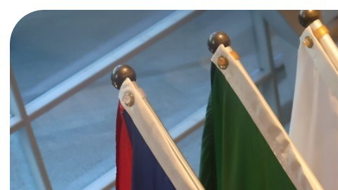 Amanda Séptimo, asambleísta del Sur de El Bronx