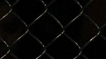 BJ Penn en un combate de peso welter de artes marciales mixtas en un evento de UFC.